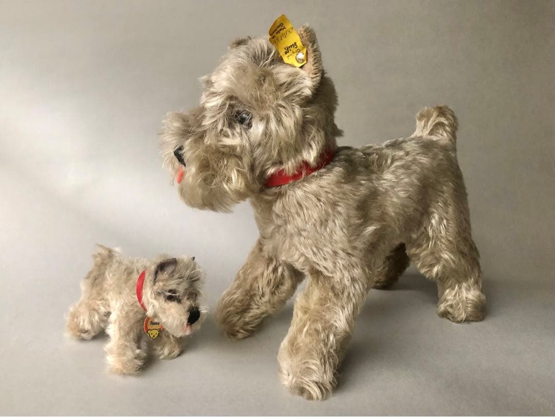 Steiff 　シュナウザーのTessi　IDあり