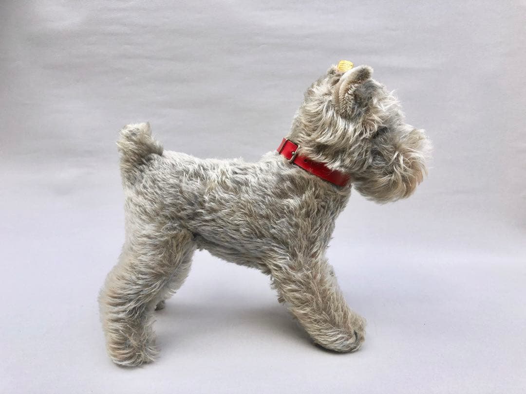 Steiff 　シュナウザーのTessi　IDあり