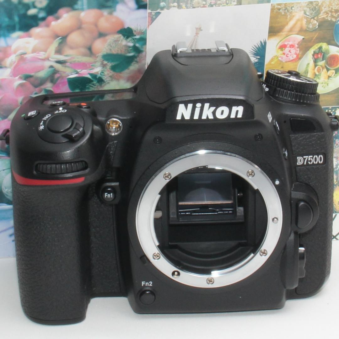 ❤️予備バッテリー&カメラバッグ付き❤️ニコン D7500 トリプルレンズ❤️