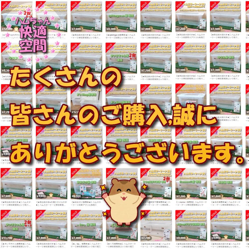 【★大サイズ★】新品 ハムスターケージ ゲージ ハウス 快適 飼育 扉 解放