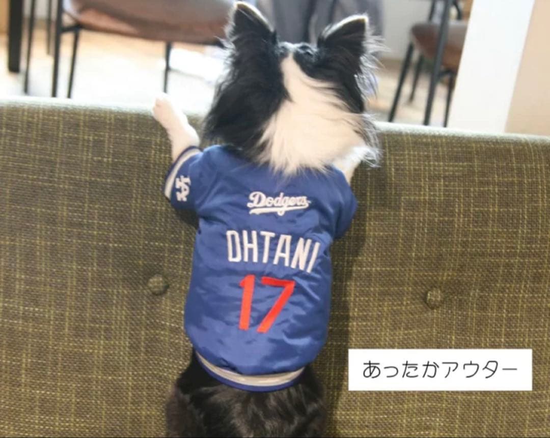 新品未使用！MLB 公認OHTANI 犬服ダグアウトジャケット 青
