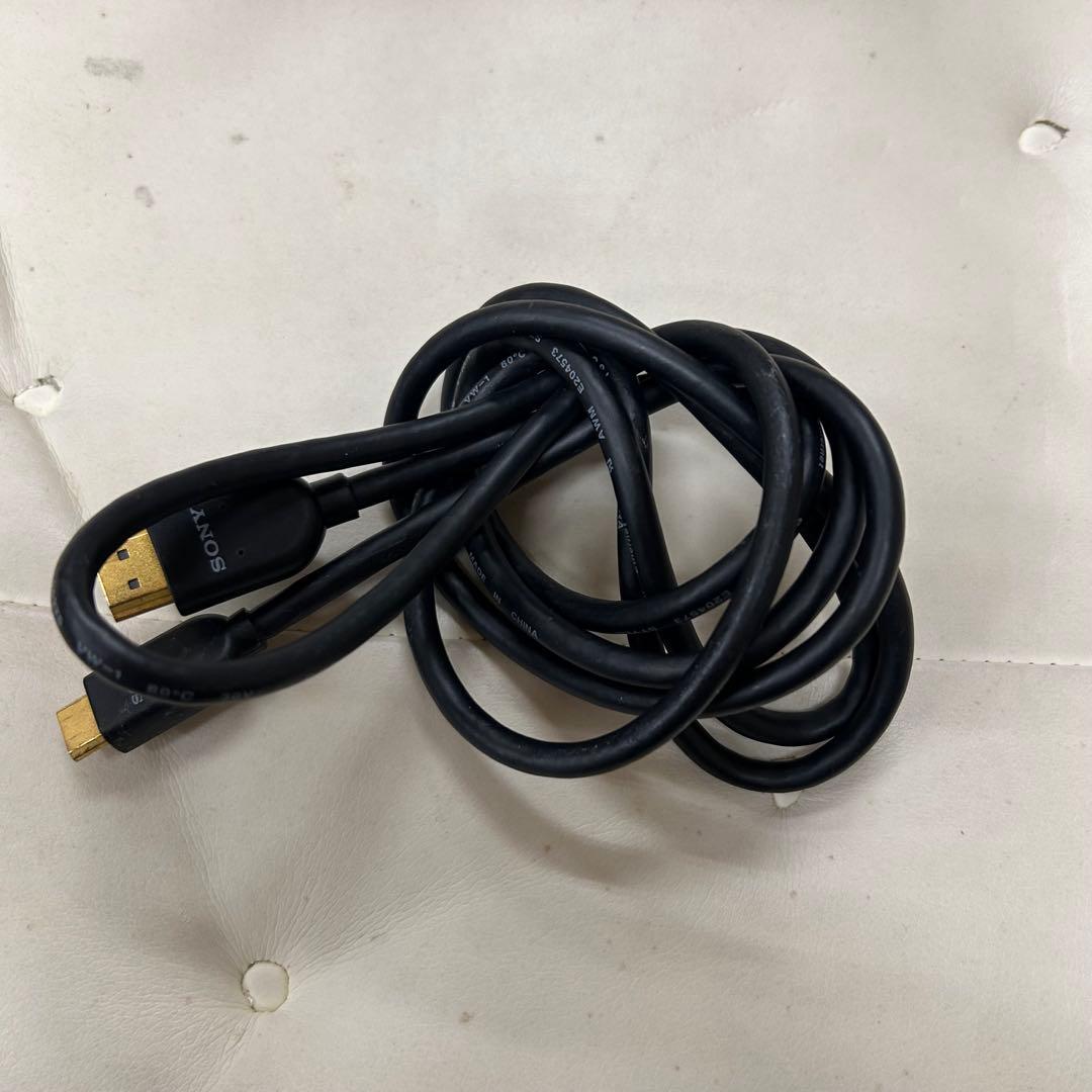 Panasonic HX-WA10 オレンジ ビデオカメラ本体