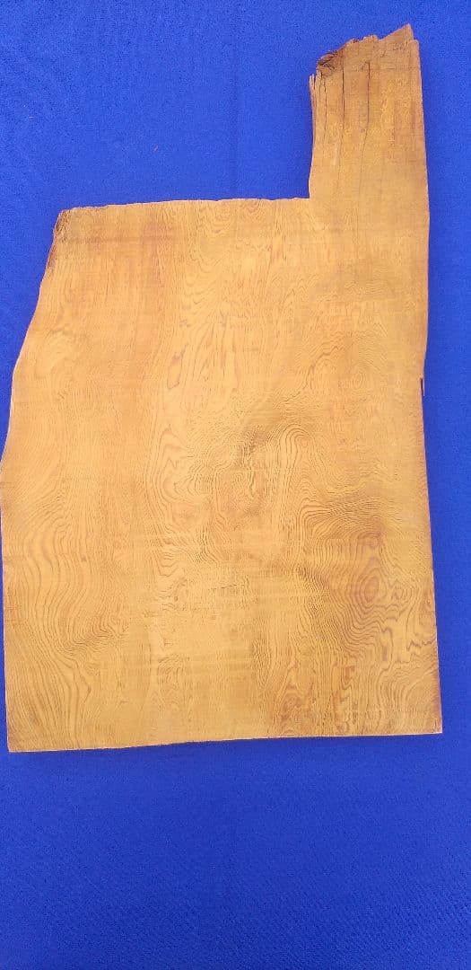 屋久杉の板材 37cm×30cm×2.5cm｜材料稀少 471