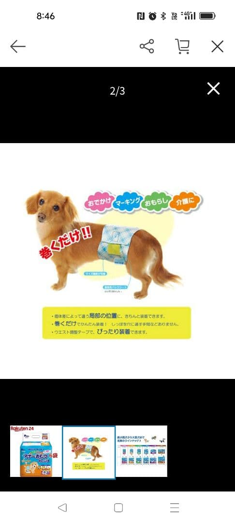 マナーおむつ おしっこ用 42枚入5パック