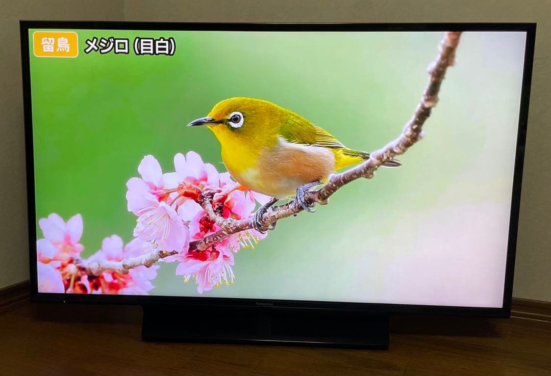 Panasonic 4K 液晶テレビ　TH-43FX750 2019年製