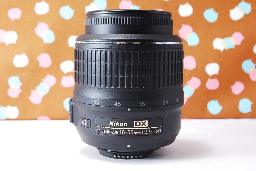 ✨お買い得✨初心者オススメ✨Nikon D3100 レンズセット