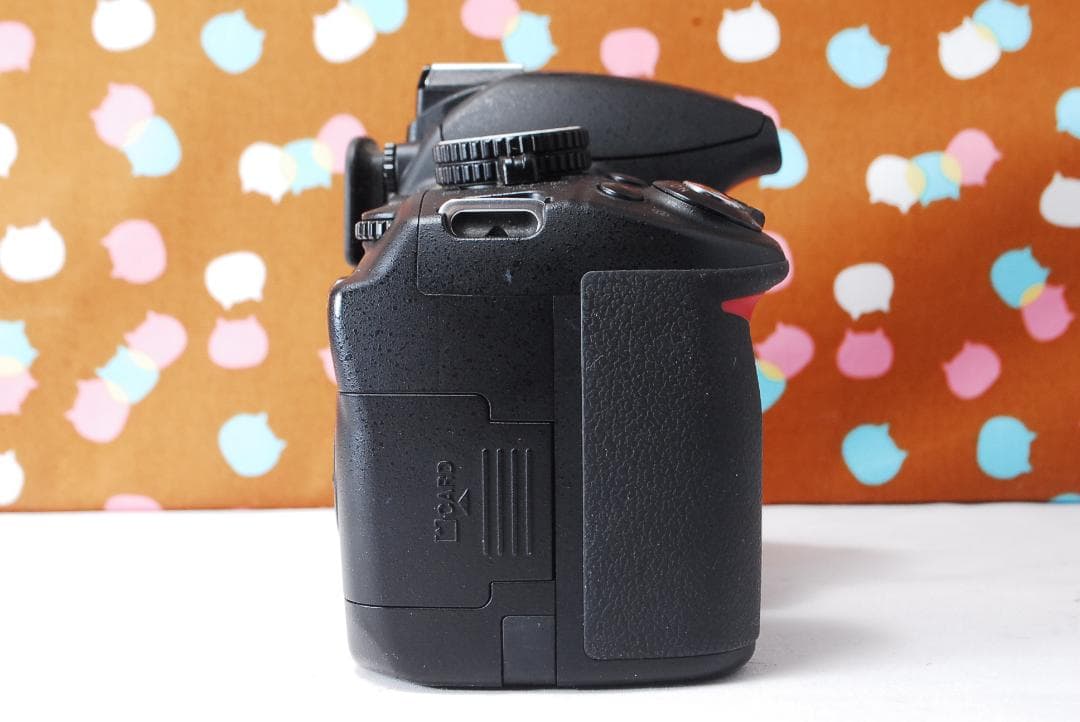 ✨お買い得✨初心者オススメ✨Nikon D3100 レンズセット