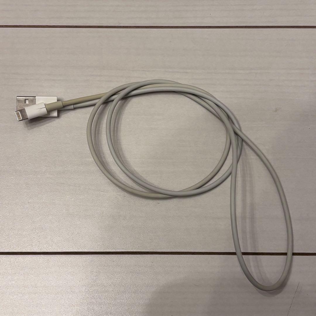 Apple AirPods Pro 2 Lightningタイプ ケース付き