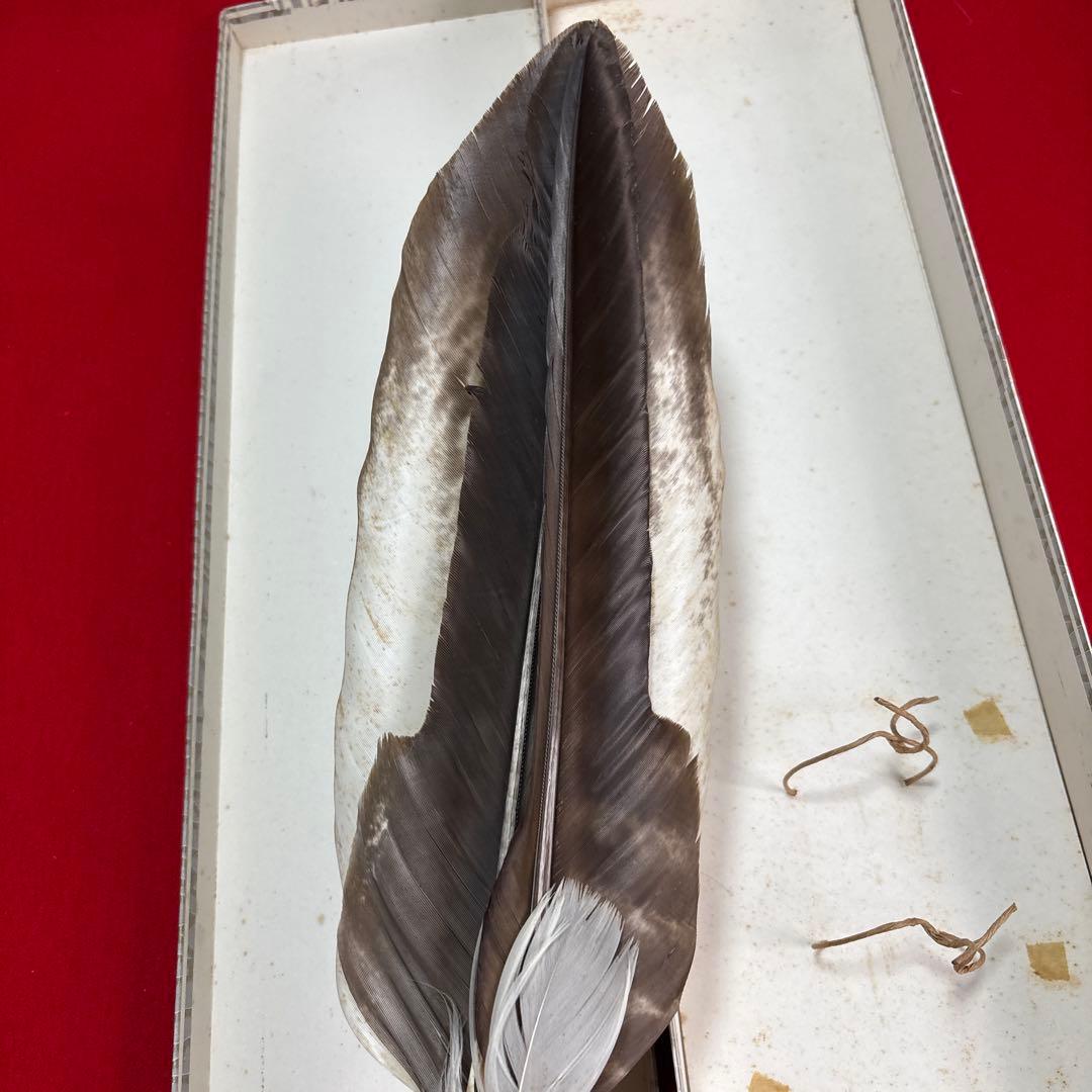茶道具座掃　長さ48cm 茶道具『炭道具 座箒共箱長期保管品』