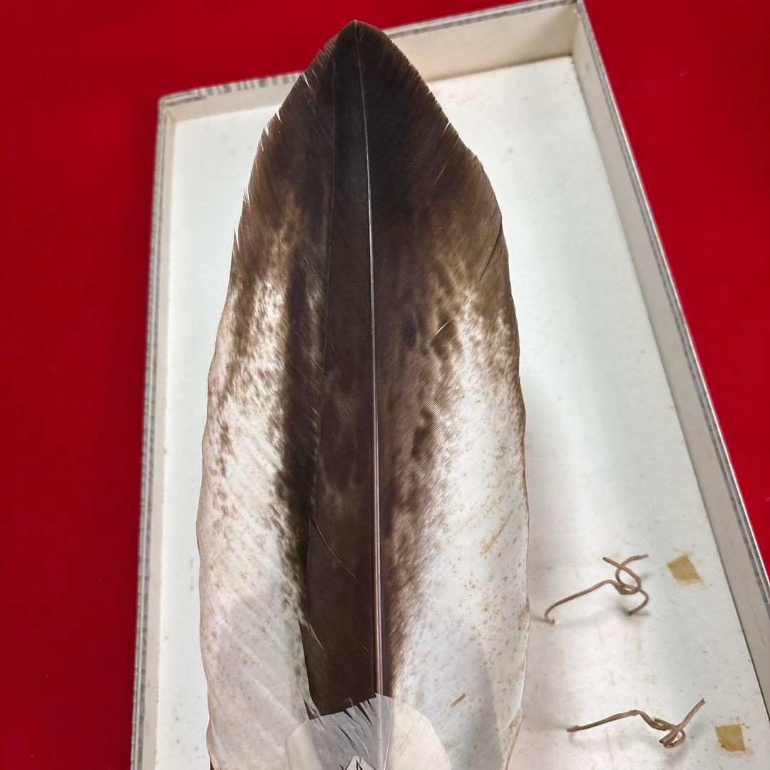 茶道具座掃　長さ48cm 茶道具『炭道具 座箒共箱長期保管品』