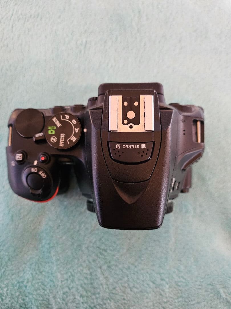 Nikon　d5600　レンズセット　 D5600　ニコン　美品　一眼レフ