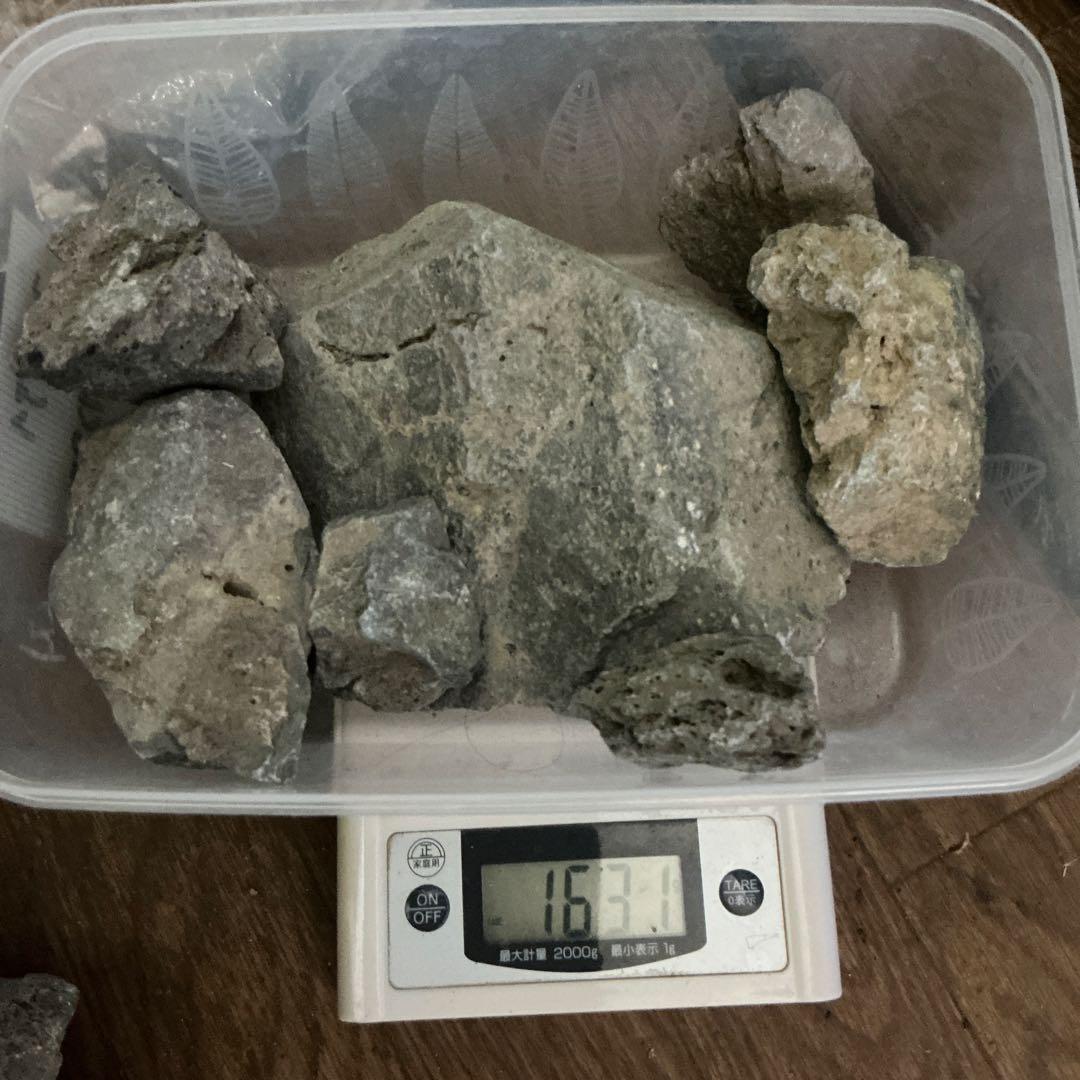 ④アクアデザインアマノ　ADA 万天石　希少　約1.6kg