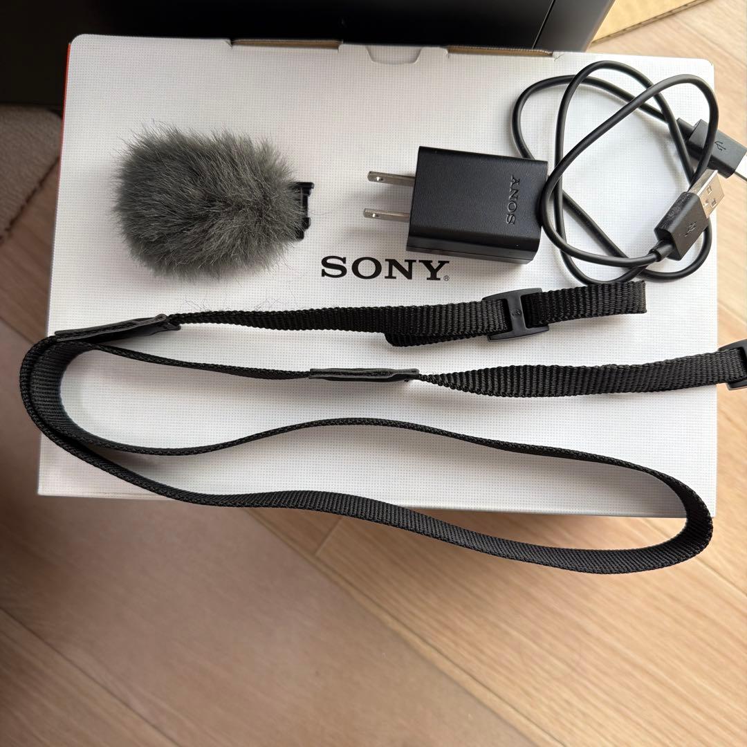 SONY ZV-E10Y GP-VPT2BT セット