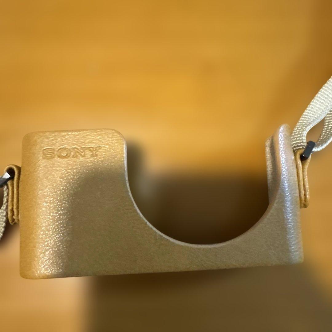 ソニー Cyber-shot DSC-WX350 コンパクトデジタルカメラ