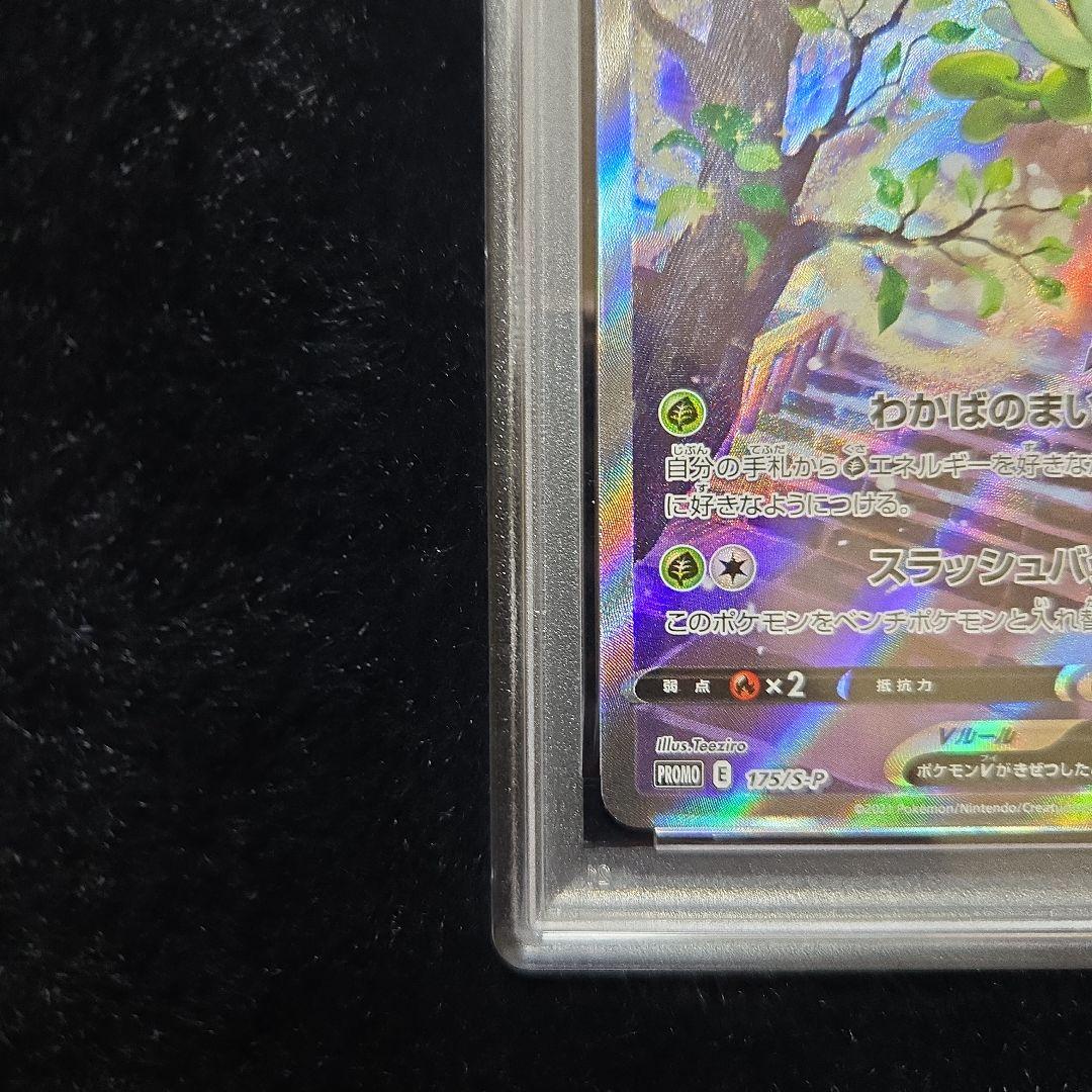 PSA10　 セレビィV sa 175/S-P