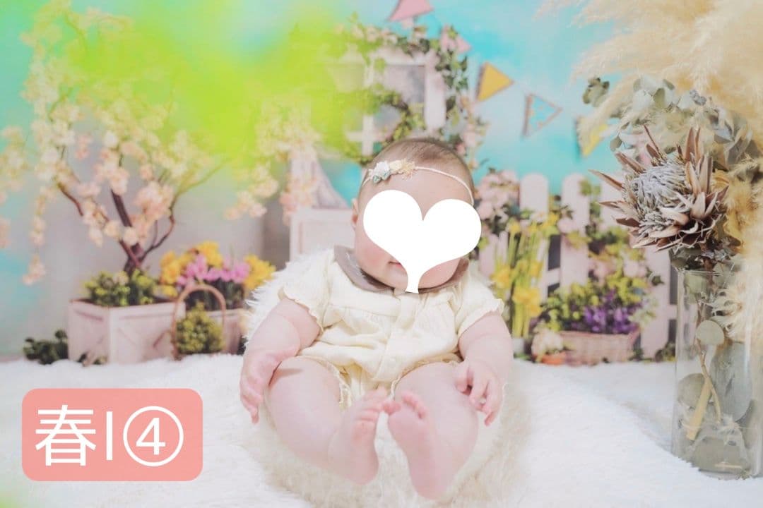 背景布【　春L　】サンプル　ペット撮影用　桜、お花見、チューリップ　フォトブース