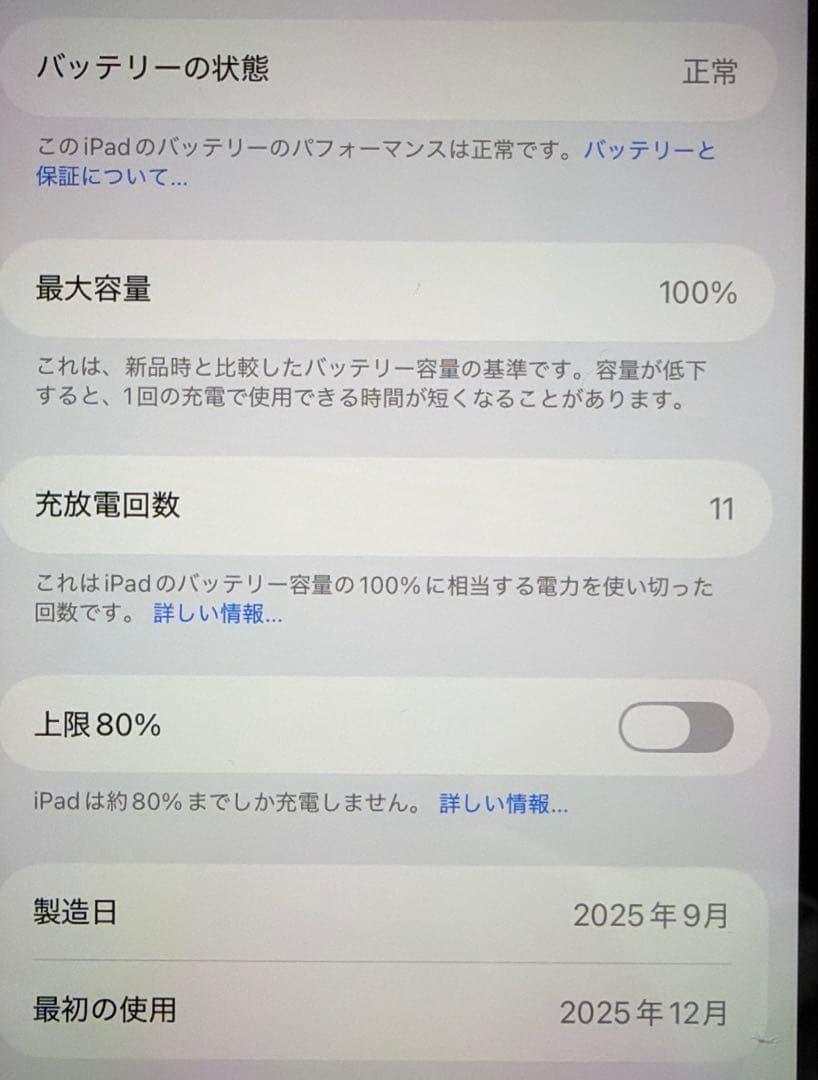 iPad mini 7 Wi-Fi 128GB バッテリー100% ケース付