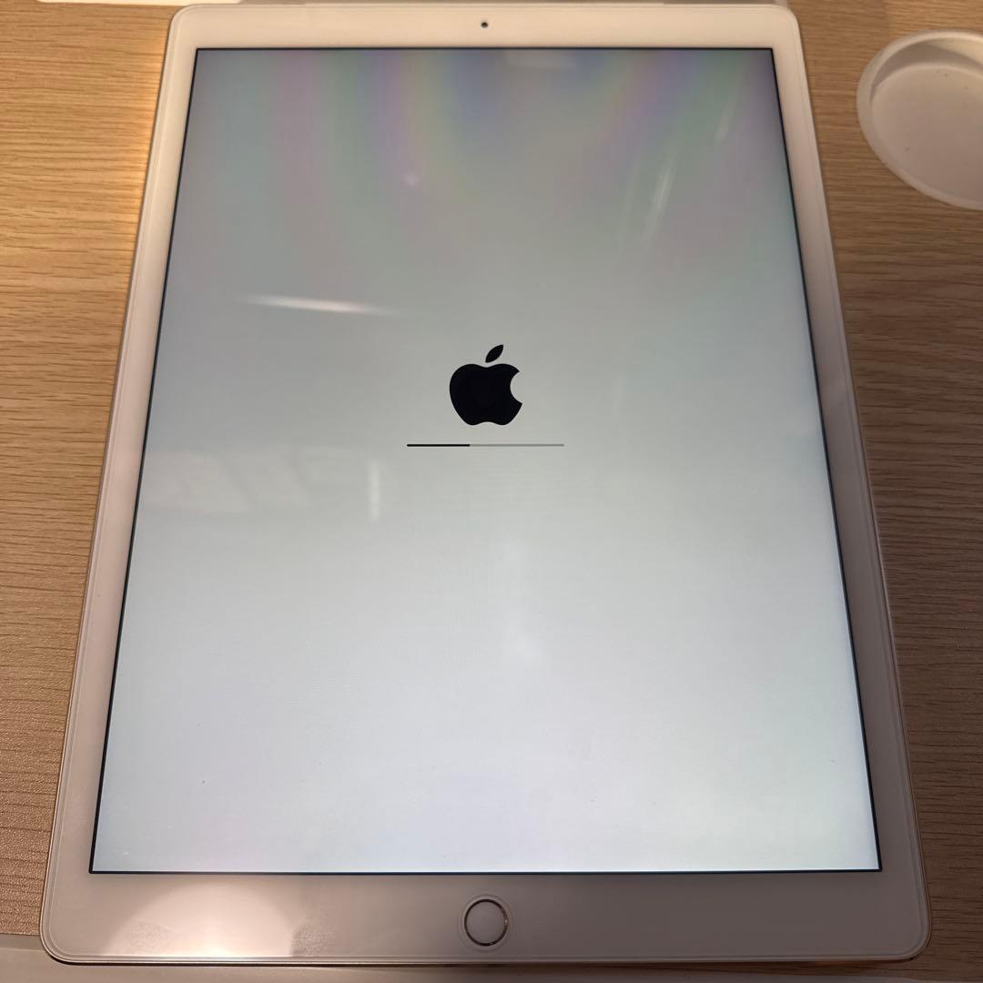 r*s様 ipad pro 初代 12.9 a1652 綺麗です。