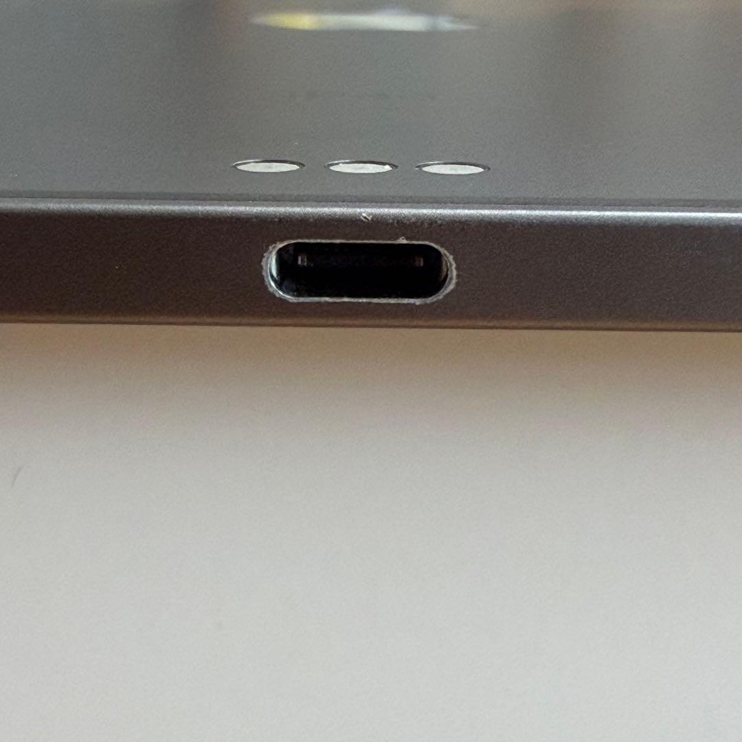 iPad Pro 11インチ 第1世代 256GB セルラー ジャンク
