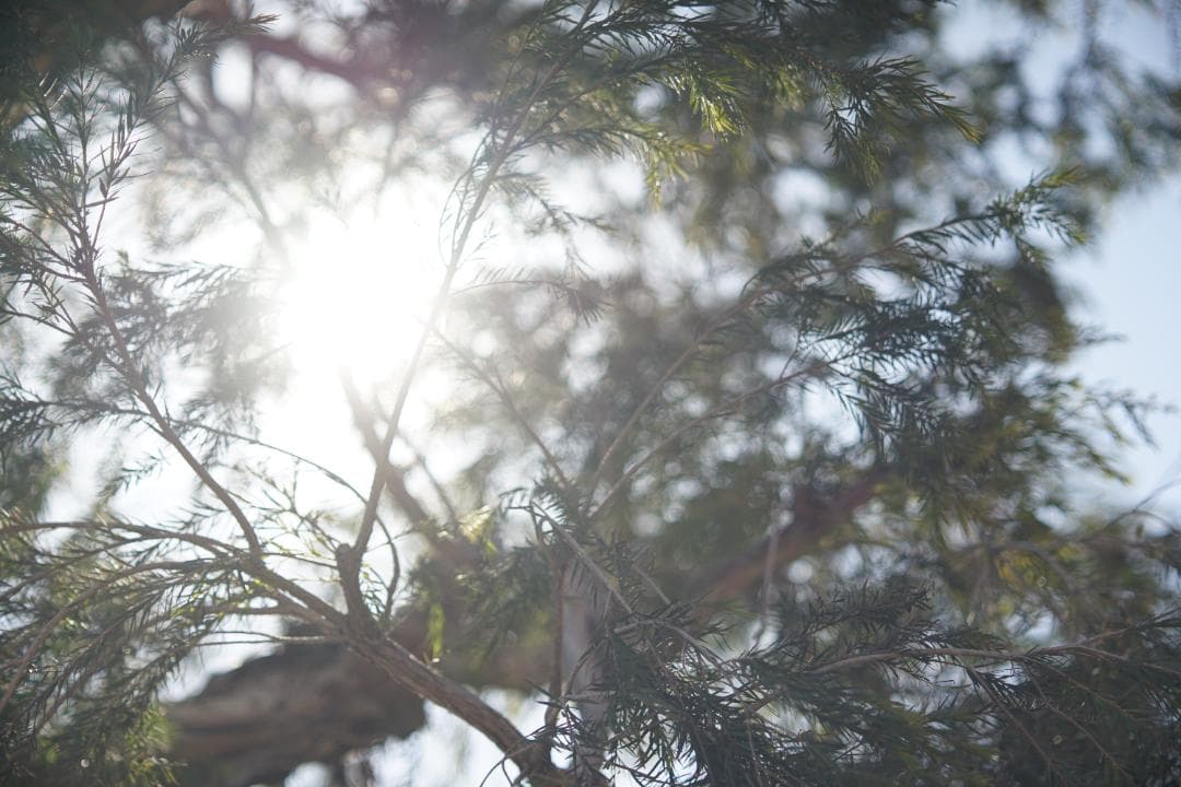 希少　ライカ　ELMARIT　90mm　2.8　ブラック