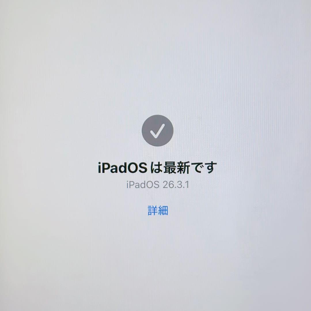 iPad Air (第4世代) 64GB スカイブルー バッテリー容量100%
