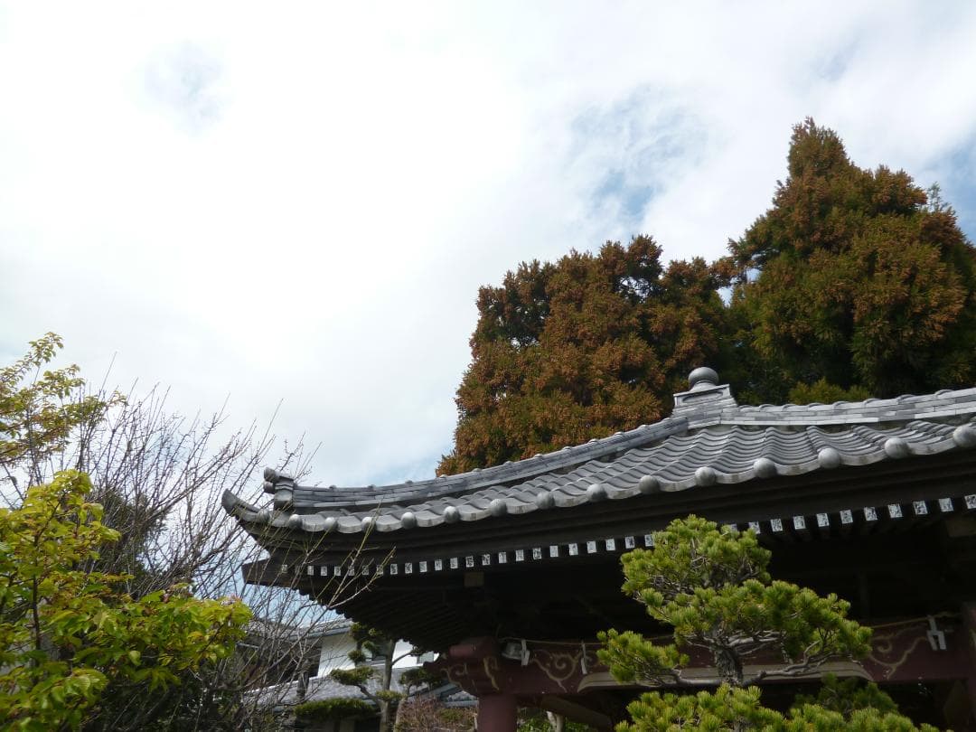 実写良⭕️【動作確認済】Panasonic LUMIX DMC-FX77