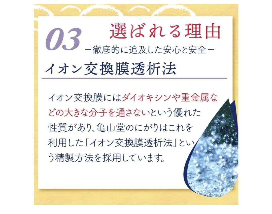 亀山堂 にがり温泉 にがり 入浴剤 スキンケア などに（ 4L ）×2個セット