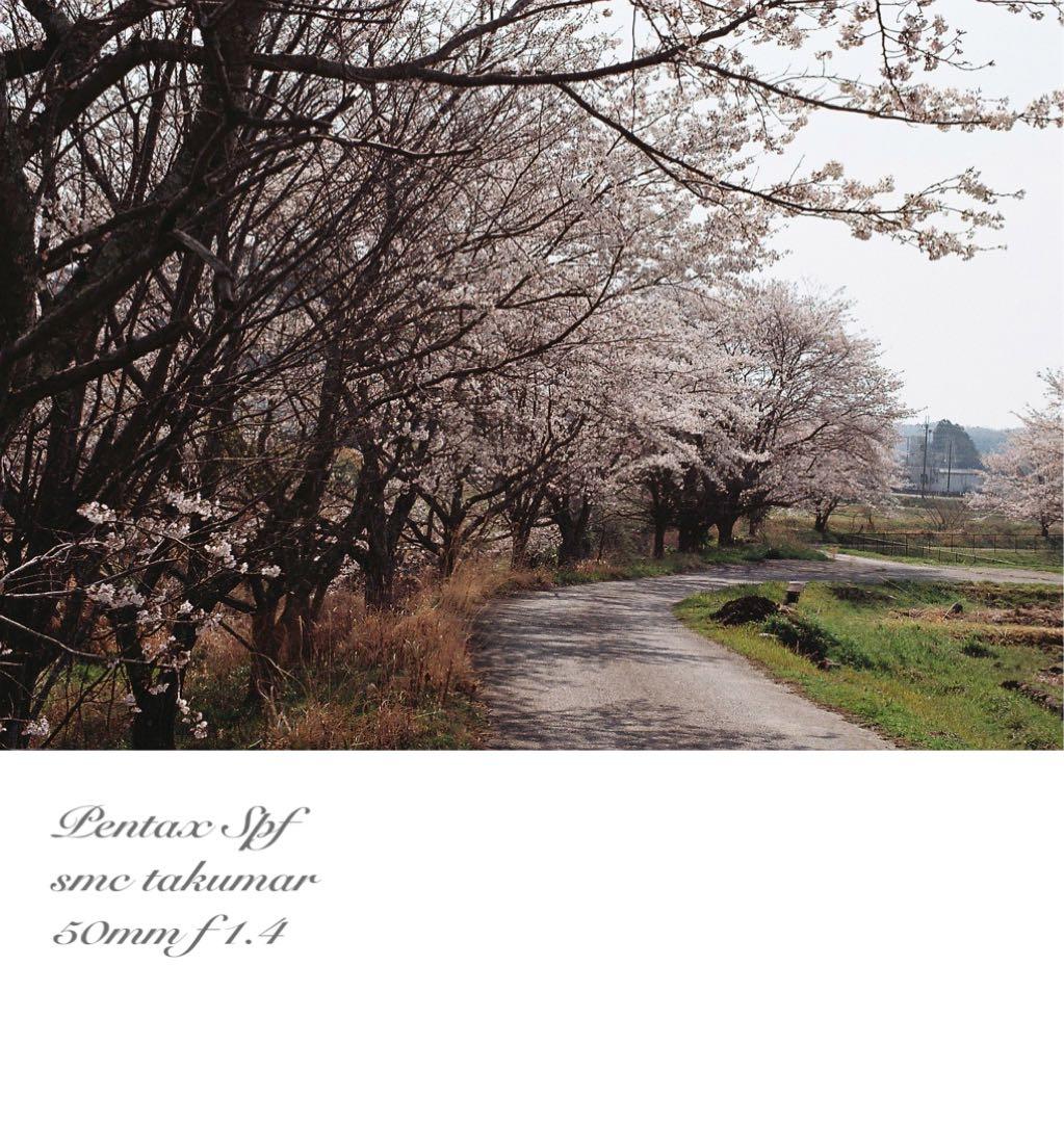 完動品＊美品＊pentax spf&名玉smc f1.4★作例多数！★初期保証