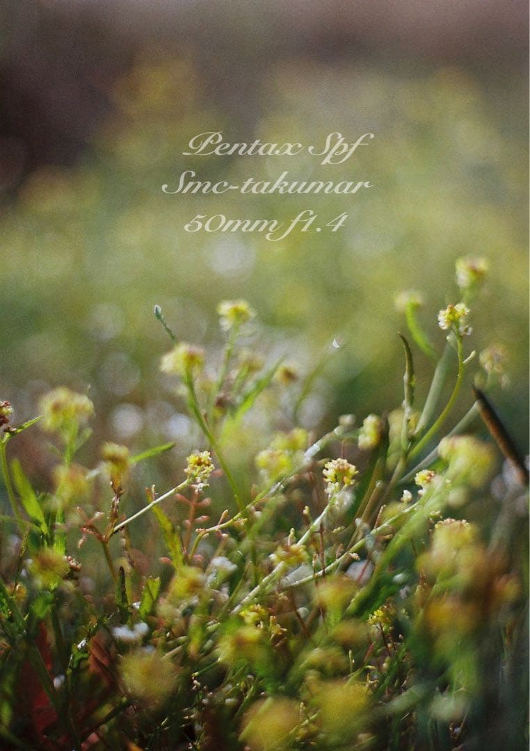 完動品＊美品＊pentax spf&名玉smc f1.4★作例多数！★初期保証