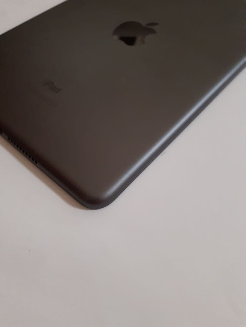 iPad mini5 第五世代 cellular 64GB スペースグレー