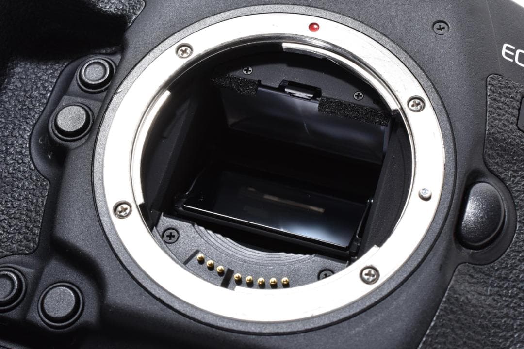 Canon EOS-1DX Mark II キヤノン フルサイズ 一眼レフカメラ