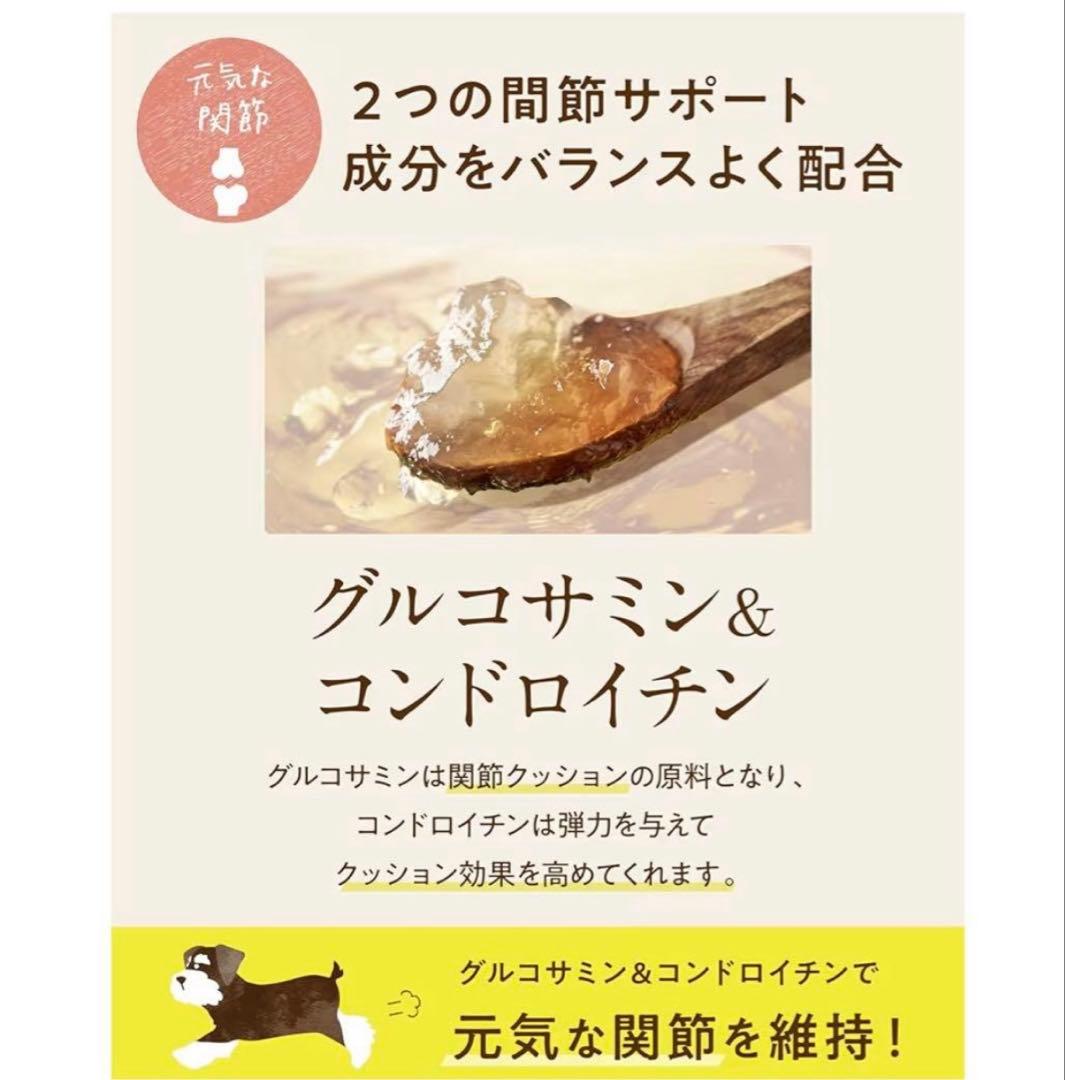 シニアのための　このこのごはん プレミアムドライフード 2袋
