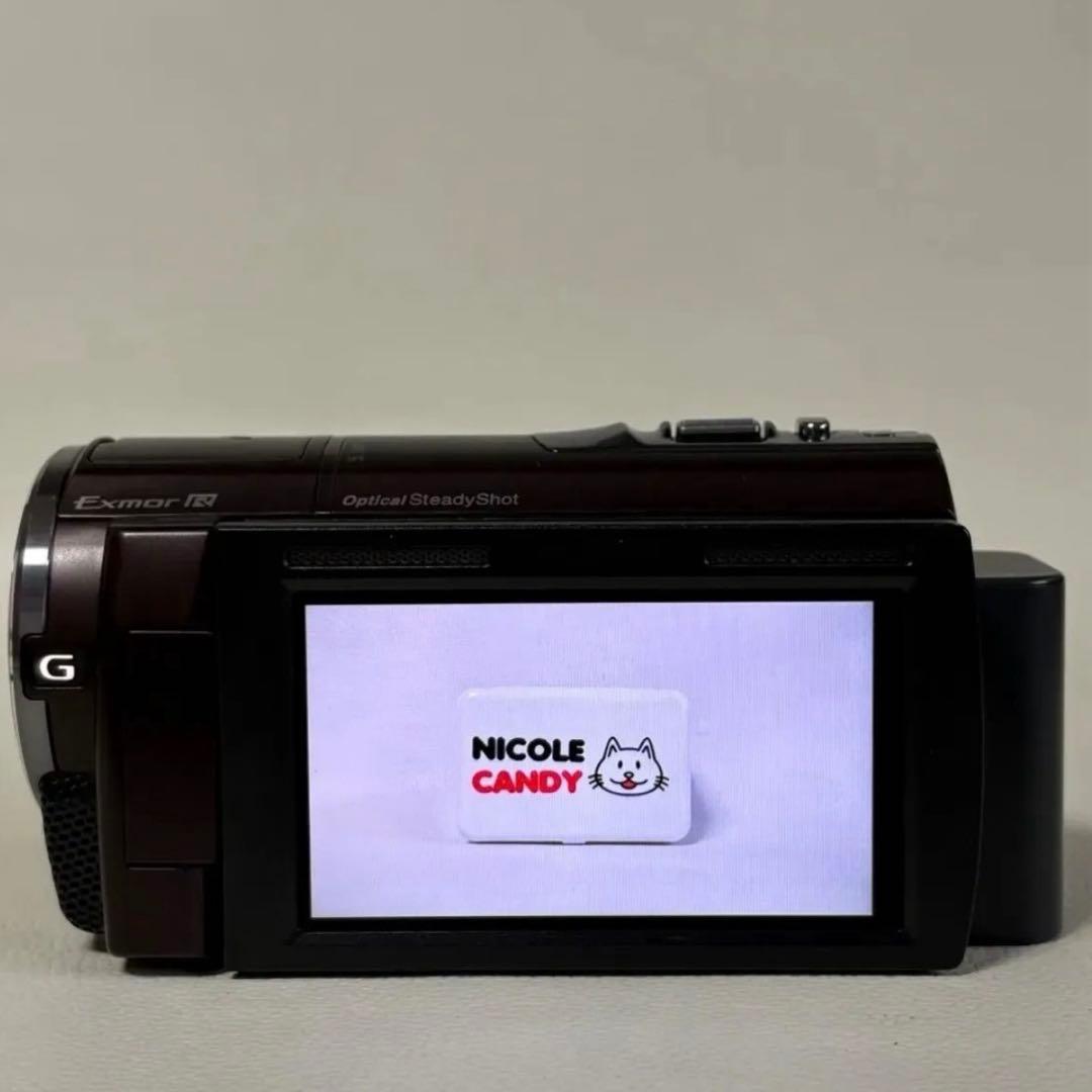 【動作確認済】SONY デジタルHDビデオカメラ HDR-CX590V