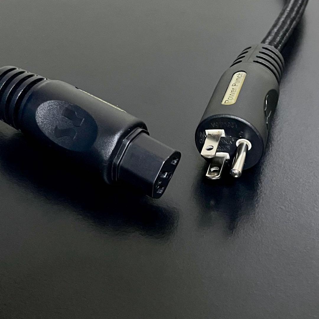 PS AUDIO XPC POWER PUNCH 電源ケーブル 1m