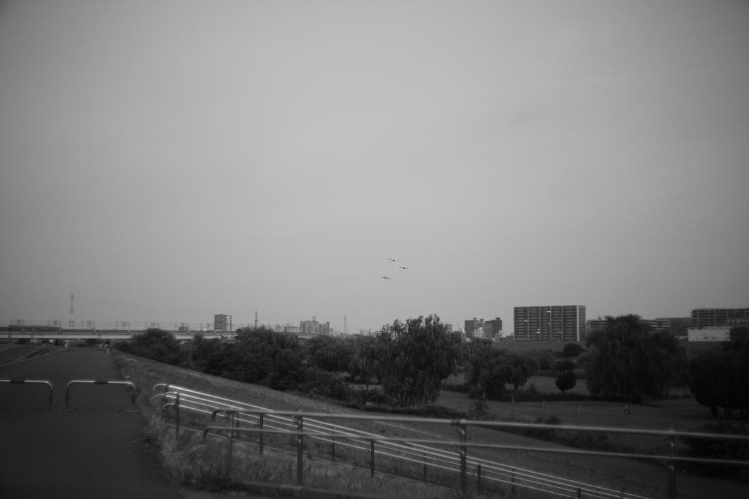 Jena Pancolar 50mm f2 整備済み