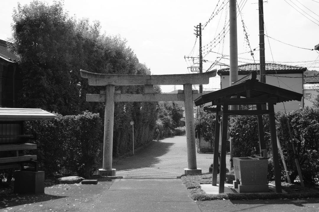 Jena Pancolar 50mm f2 整備済み