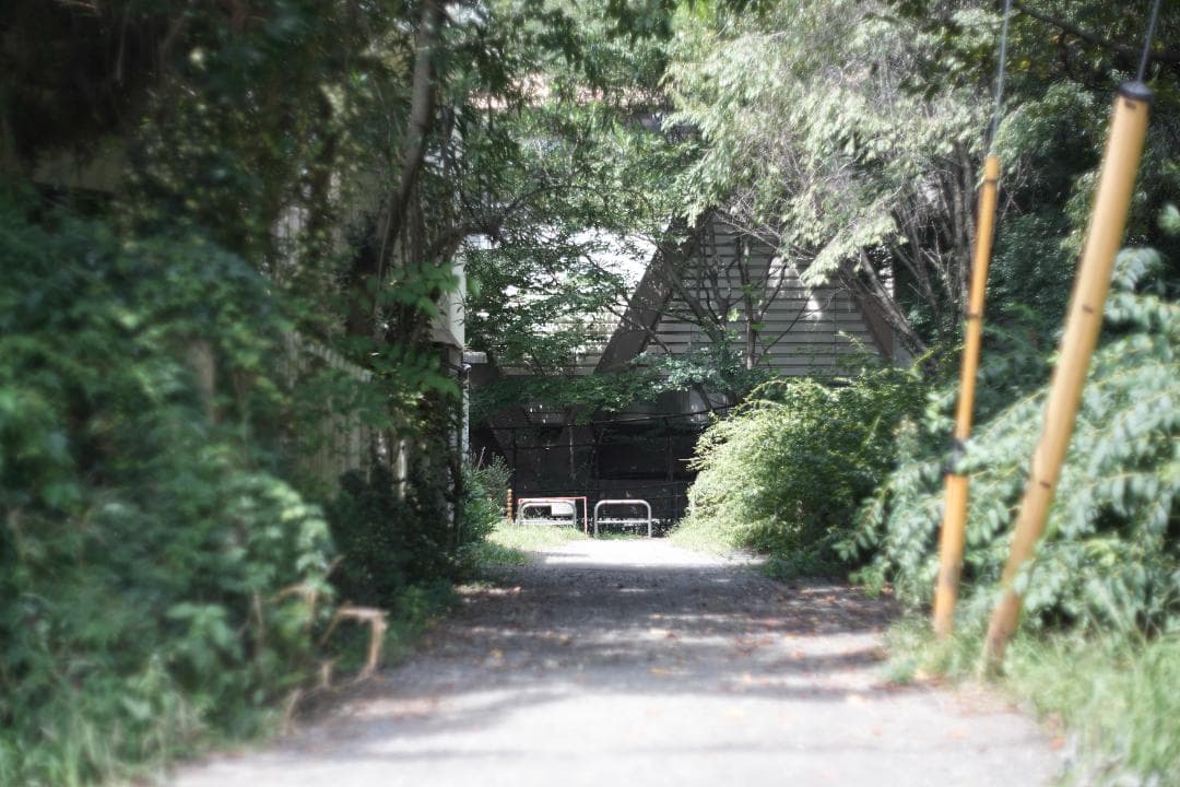 Jena Pancolar 50mm f2 整備済み