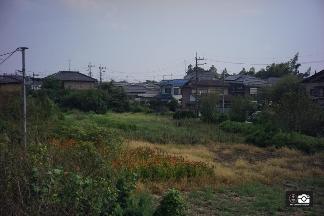 希少Tanar HC 5ｃm F/2 ライカＬ３９レンズ整備済