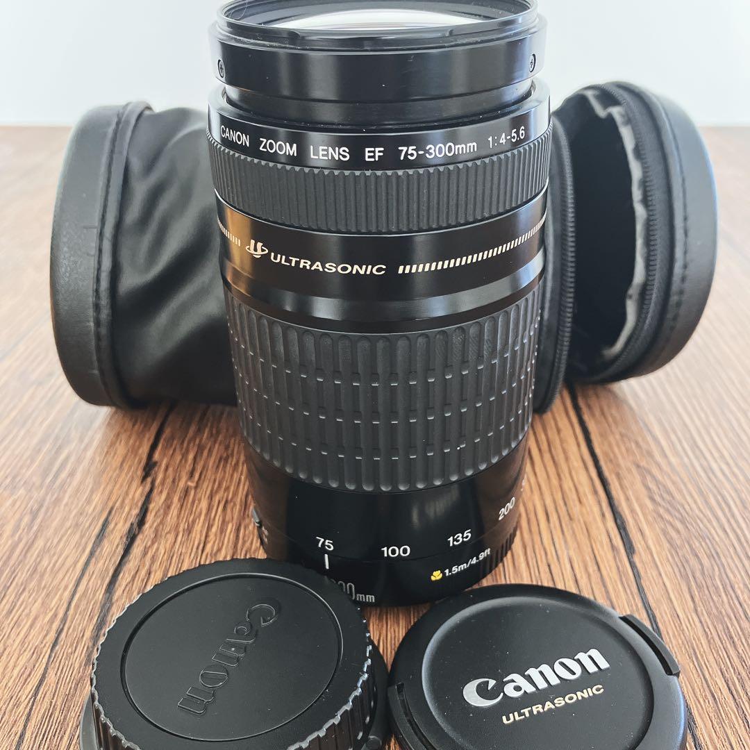 美品　Canon EF 75-300mm f/4-5.6 USM ズームレンズ