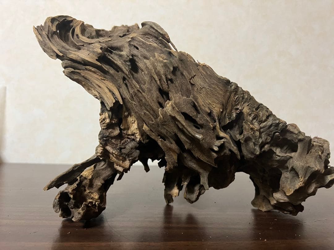 XM-326 流木マシンガンウッド　ブランチウッド　アクアリウム　沈水確認済