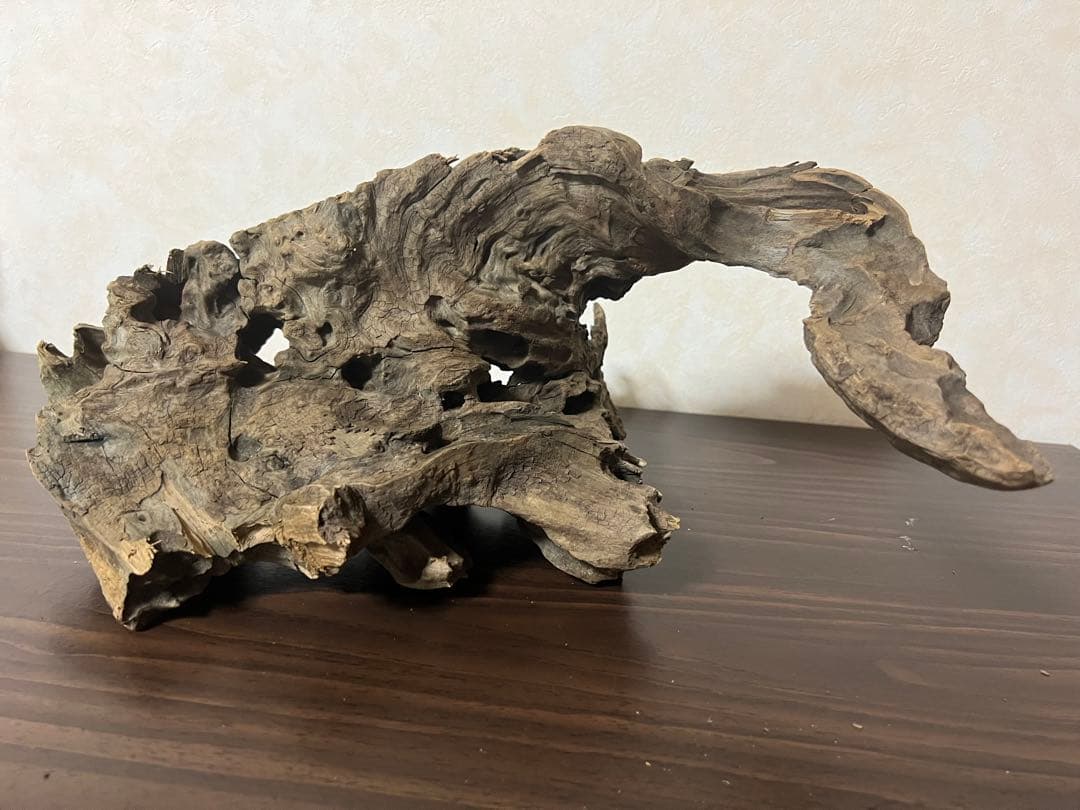 XM-326 流木マシンガンウッド　ブランチウッド　アクアリウム　沈水確認済