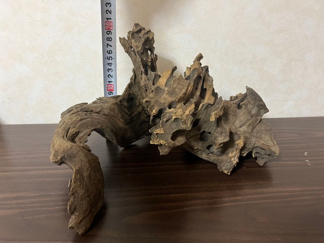 XM-326 流木マシンガンウッド　ブランチウッド　アクアリウム　沈水確認済