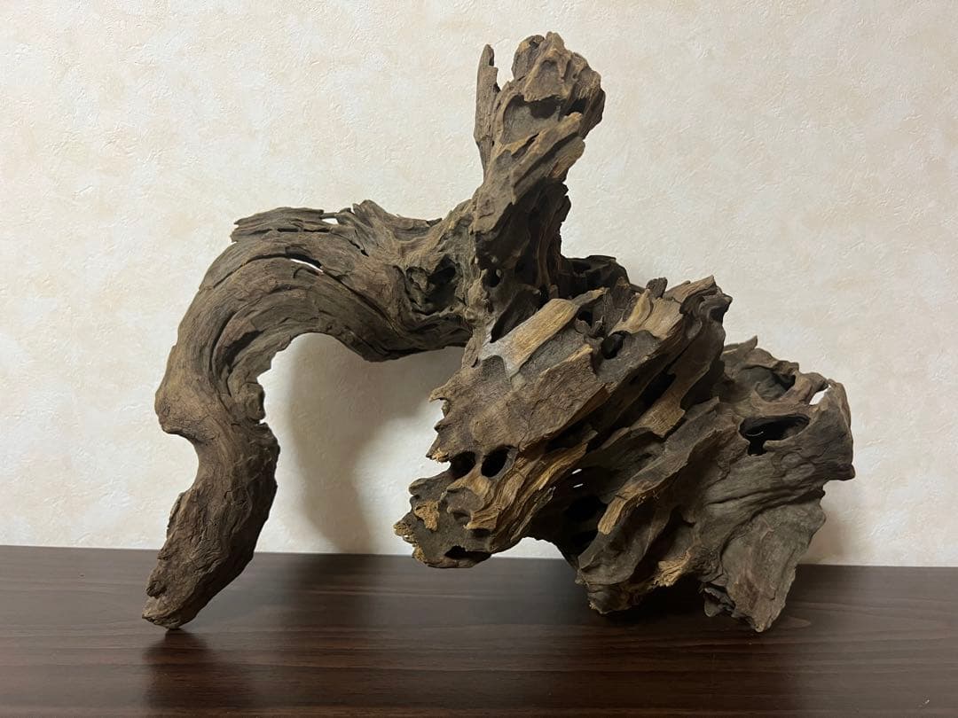 XM-326 流木マシンガンウッド　ブランチウッド　アクアリウム　沈水確認済