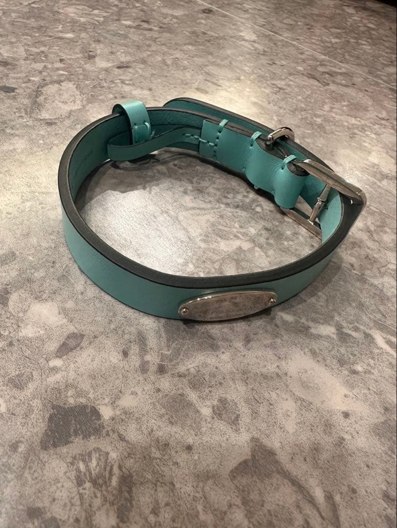 Tiffany & Co. 水色 レザー首輪 ティファニー ターコイズ Mサイズ