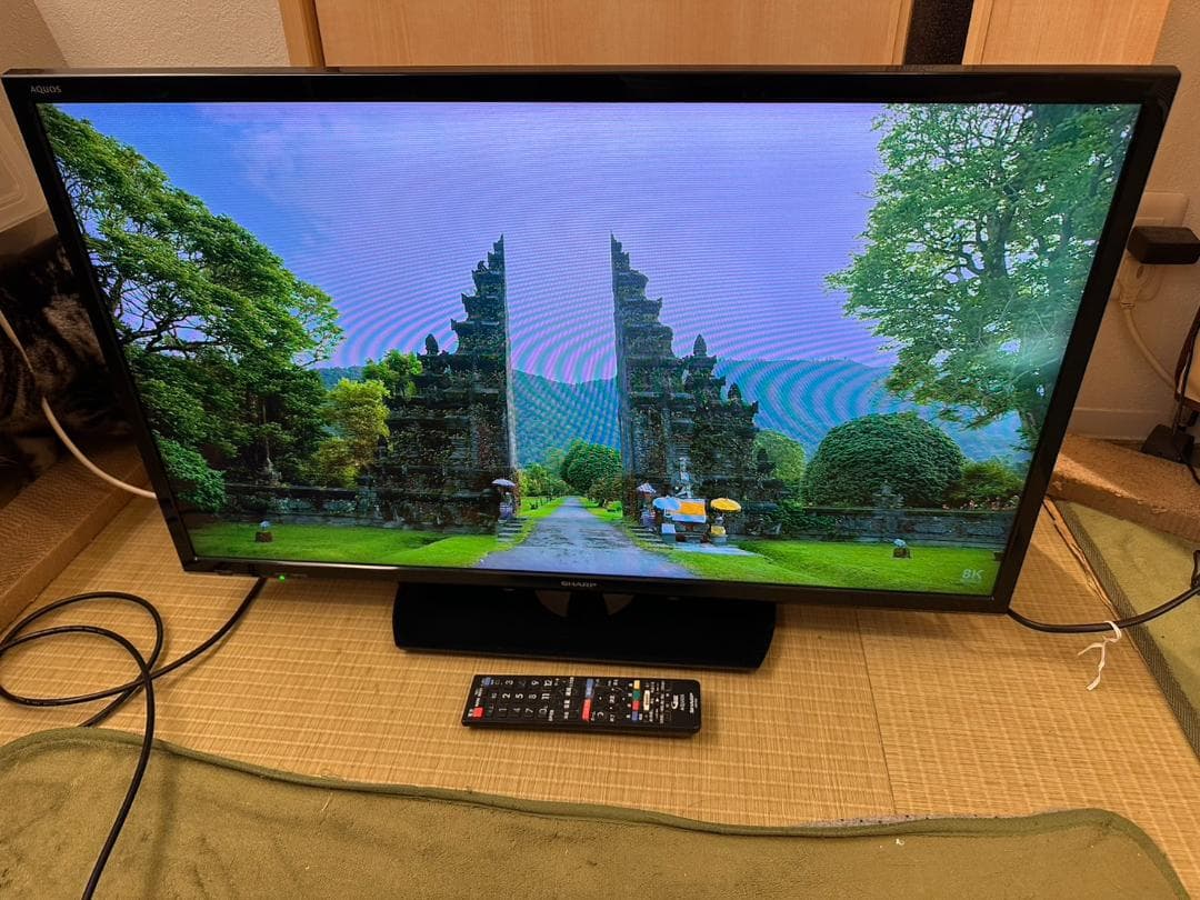 SHARP シャープ　32型　テレビ 2T-C32AE1 2019年製　超美品！