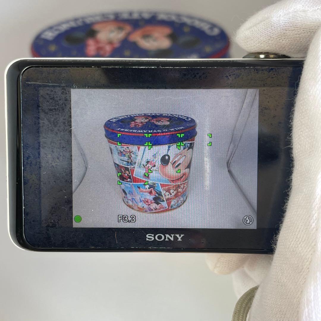 実写⭕️【動作確認済】SONY Cyber-shot DSC-WX170