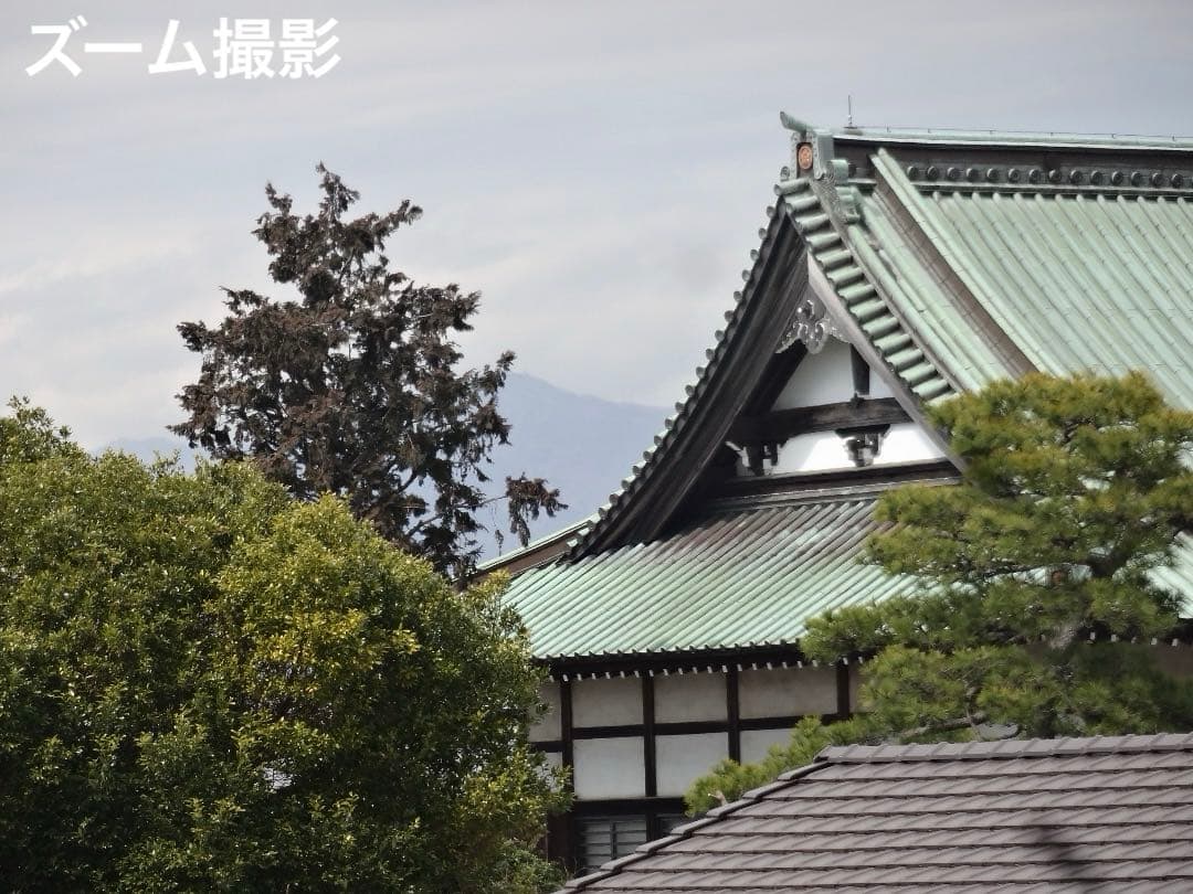 実写⭕️【動作確認済】SONY Cyber-shot DSC-WX170