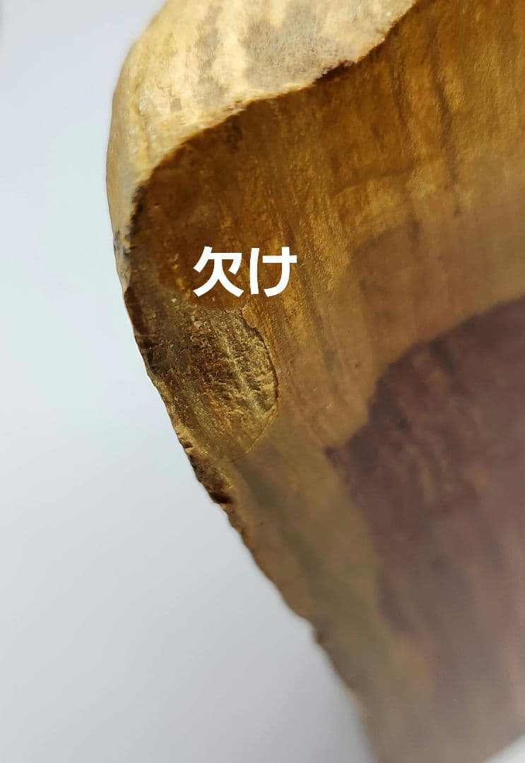 オーストラリア 木化石 ウッドストーン パワーストーン 1億8千万年 置物