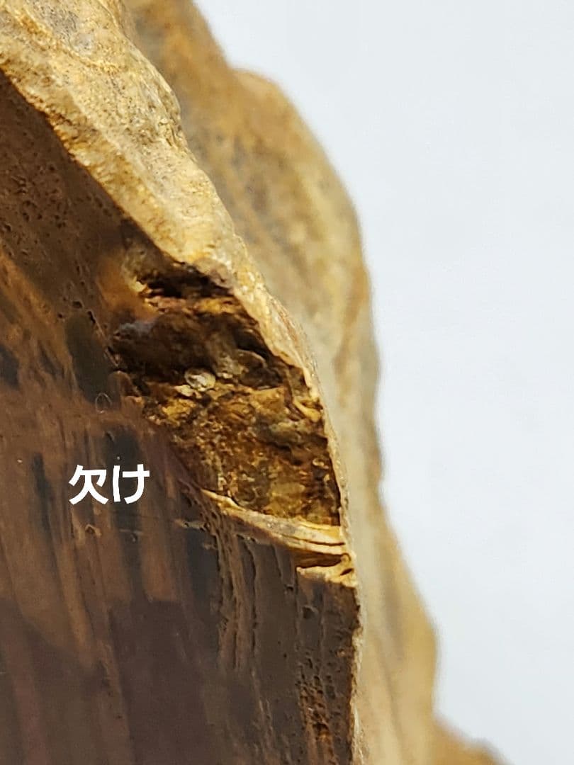 オーストラリア 木化石 ウッドストーン パワーストーン 1億8千万年 置物