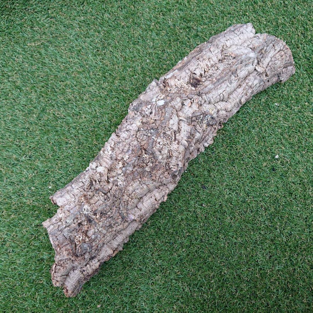 コルク樹皮　ポルトガル産　 筒状　約60cmｘ約13cm　爬虫類　シェルター